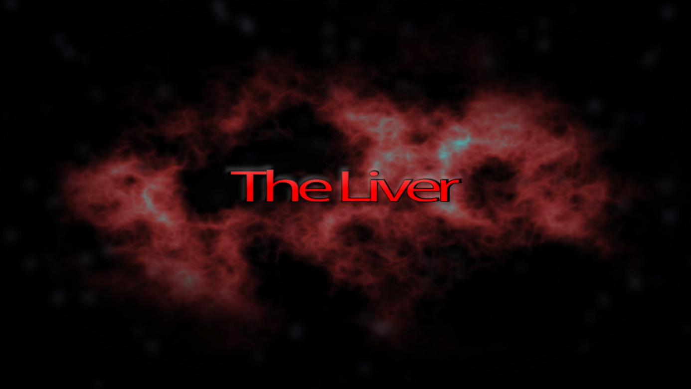 The Liver